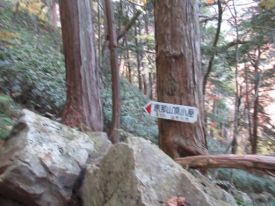 画像10